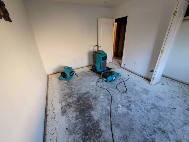 Best Carpet water damage restoration  in Carthage, MS