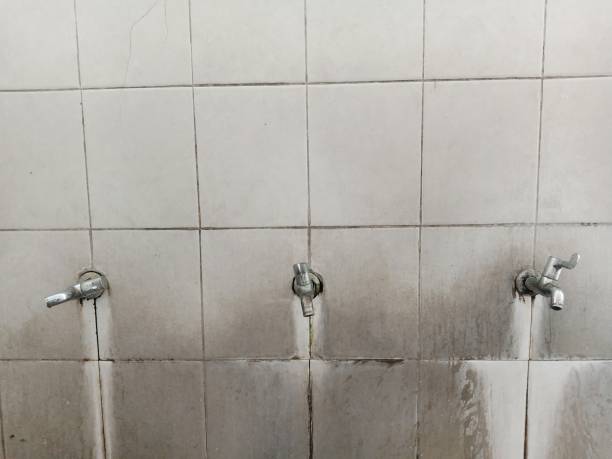 Best Water damage restoration near me  in Carthage, MS