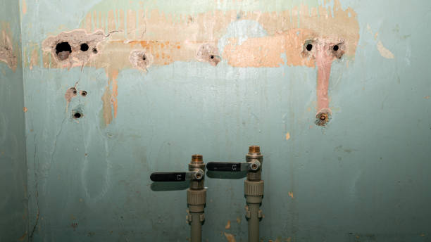 Best Carpet water damage restoration  in Carthage, MS