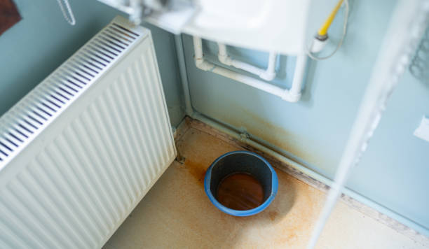 Best Water damage restoration cost  in Carthage, MS